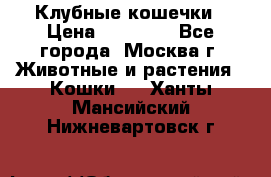 Клубные кошечки › Цена ­ 10 000 - Все города, Москва г. Животные и растения » Кошки   . Ханты-Мансийский,Нижневартовск г.